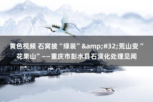 黄色视频 石窝披“绿装”&#32;荒山变“花果山”——重庆市彭水县石漠化处理见闻