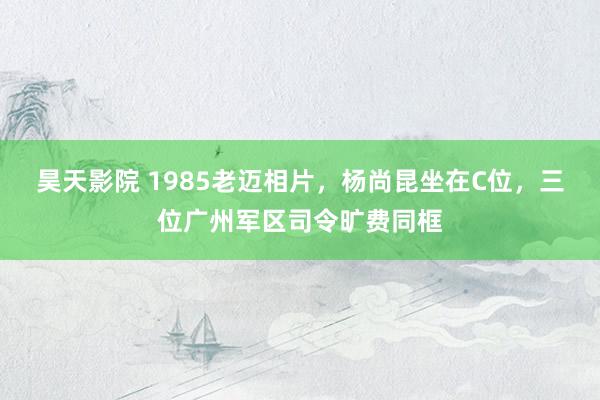 昊天影院 1985老迈相片，杨尚昆坐在C位，三位广州军区司令旷费同框