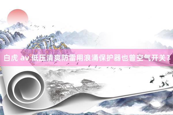 白虎 av 低压清爽防雷用浪涌保护器也曾空气开关？