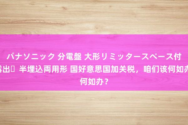 パナソニック 分電盤 大形リミッタースペース付 露出・半埋込両用形 国好意思国加关税，咱们该何如办？