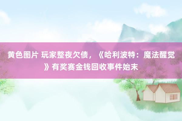 黄色图片 玩家整夜欠债，《哈利波特：魔法醒觉》有奖赛金钱回收事件始末